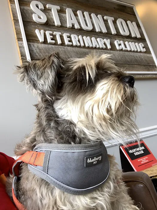 Staunton Veterinary Clinic Picture 4