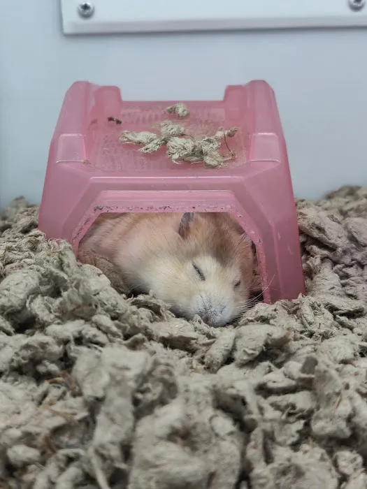 Petco Picture 3
