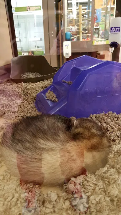 Petco Picture 9