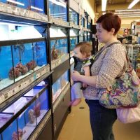 Petco ico