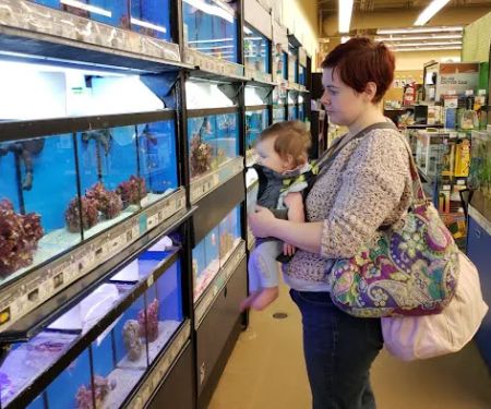 Petco