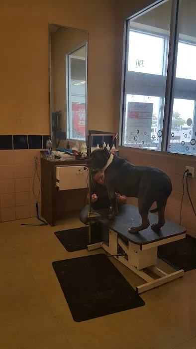 Petco Picture 5