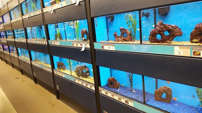 Petco Picture 2