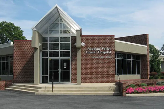 Augusta Valley Animal Hospital Picture 1