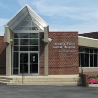 Augusta Valley Animal Hospital ico