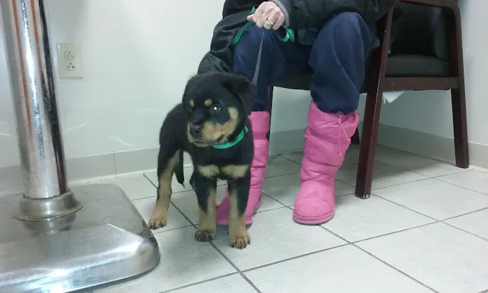 Augusta Valley Animal Hospital Picture 3