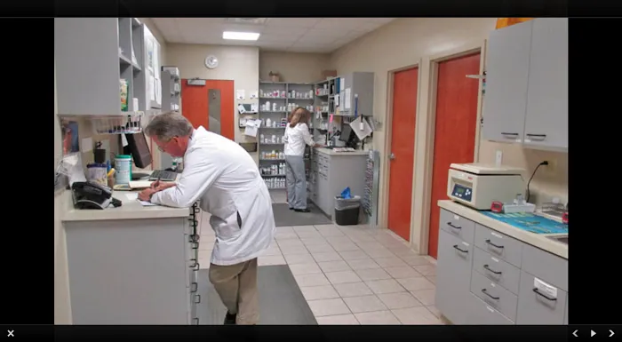 Augusta Valley Animal Hospital Picture 10
