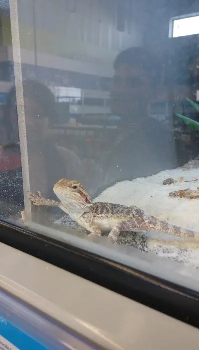 Petco Picture 1