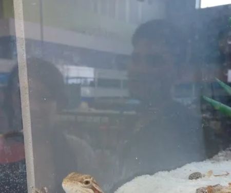 Petco
