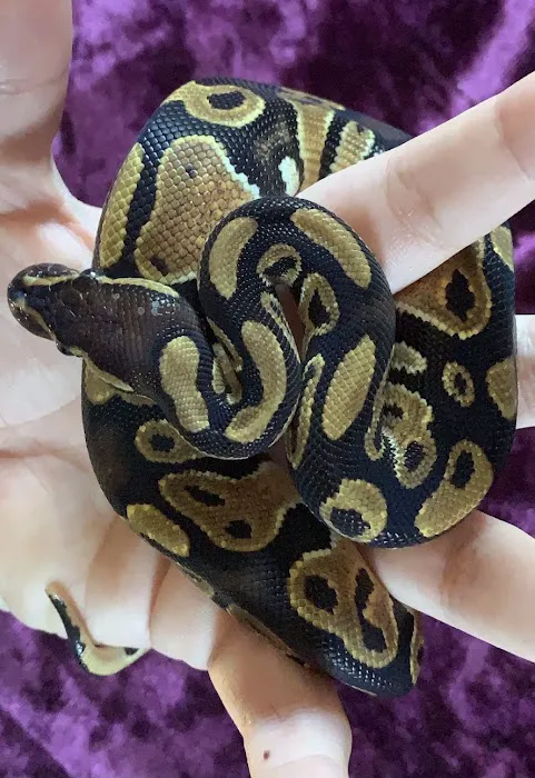 Petco Picture 8