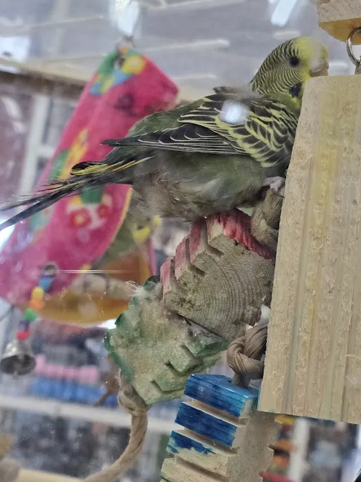 Pet Supermarket Picture 6