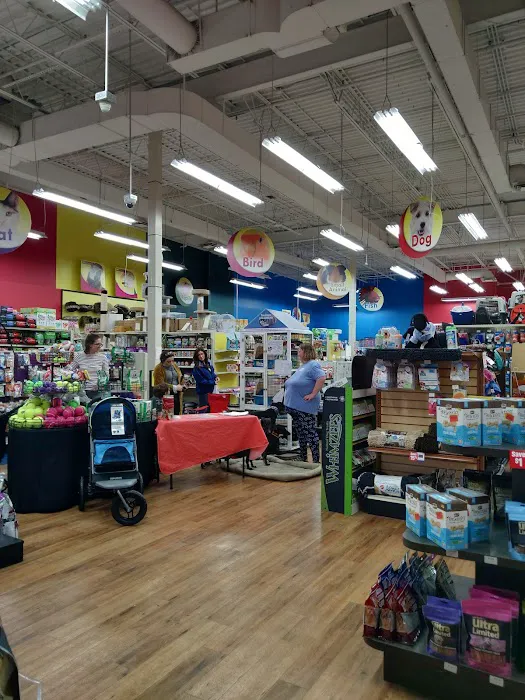 Pet Supermarket Picture 2