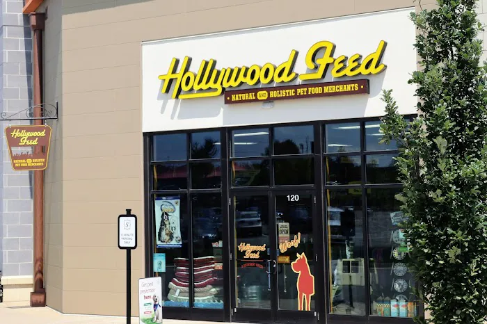 Hollywood Feed Picture 6