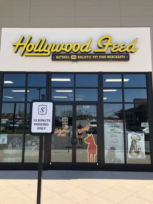 Hollywood Feed Picture 7