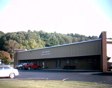 Westwood Animal Hospital Picture 1