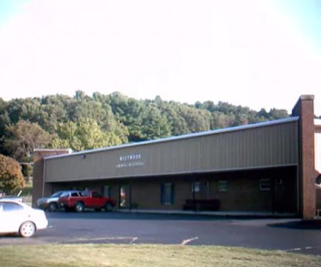 Westwood Animal Hospital