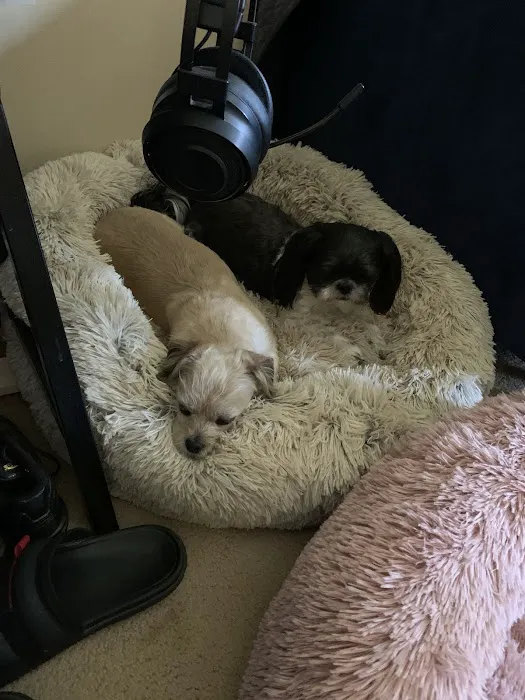 Westwood Animal Hospital Picture 6