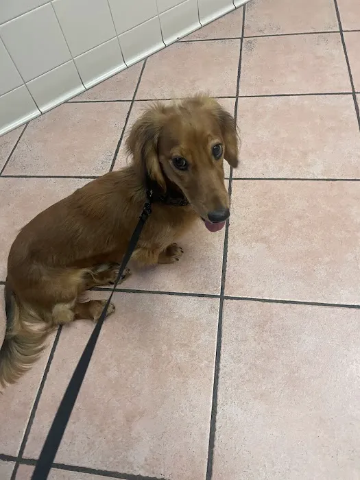 Commonwealth Veterinary Clinic Picture 6