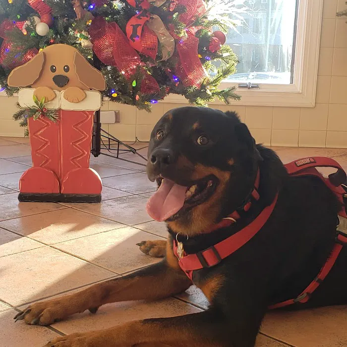 Commonwealth Veterinary Clinic Picture 10