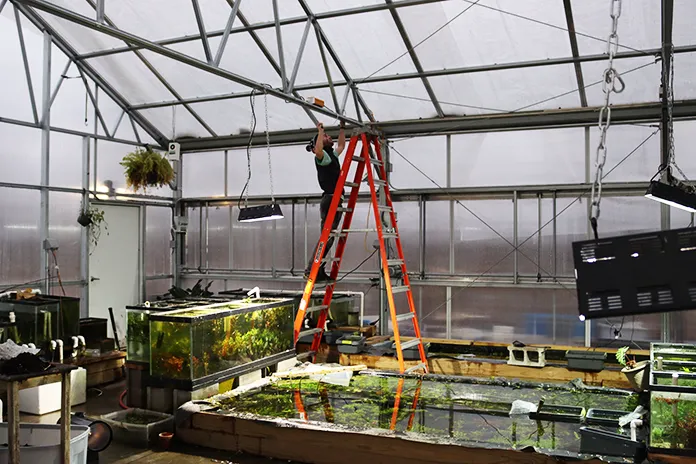 Dustin's Fishtanks Picture 4