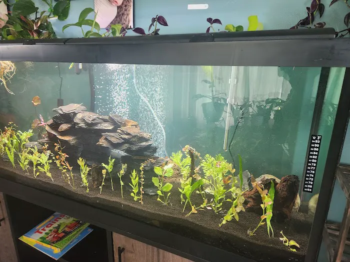 Dustin's Fishtanks Picture 5