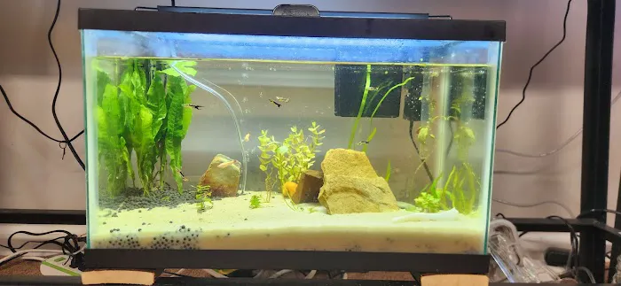 Dustin's Fishtanks Picture 1