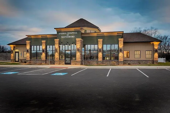 Animal Hospital of Waynesboro Picture 2
