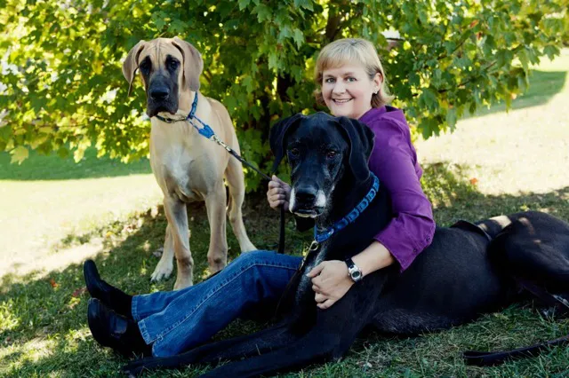 Animal Hospital of Waynesboro Picture 4