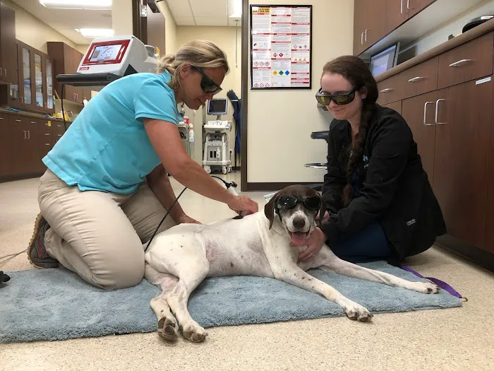 Animal Hospital of Waynesboro Picture 7