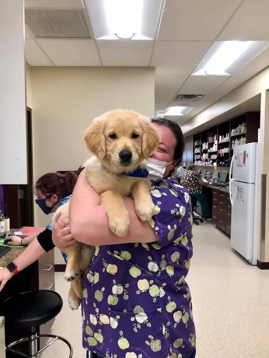 Animal Hospital of Waynesboro Picture 5