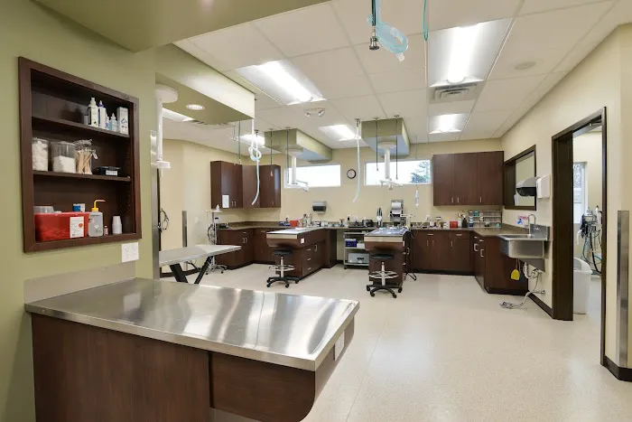 Animal Hospital of Waynesboro Picture 10