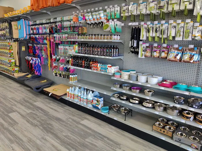 Petland Lexington Picture 4