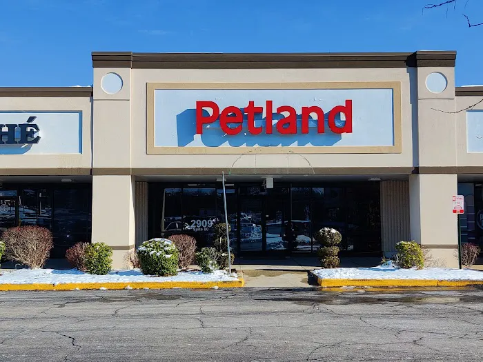 Petland Lexington Picture 3