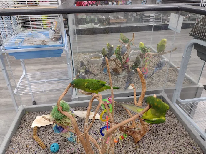 Petland Lexington Picture 1