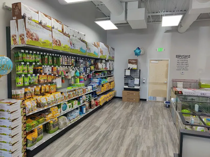 Petland Lexington Picture 6