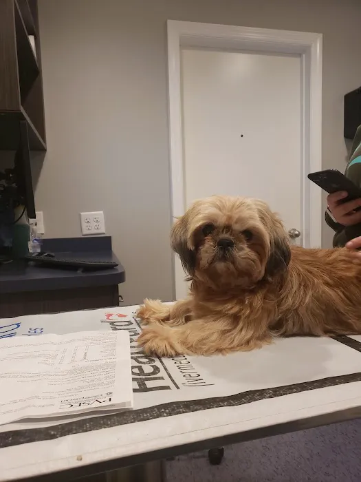 West Newton Animal Clinic Picture 5