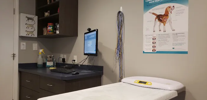 West Newton Animal Clinic Picture 1