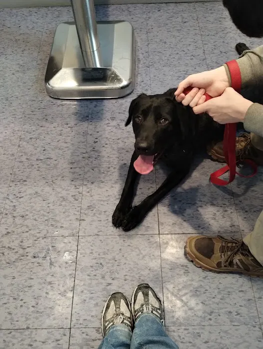 West Newton Animal Clinic Picture 7