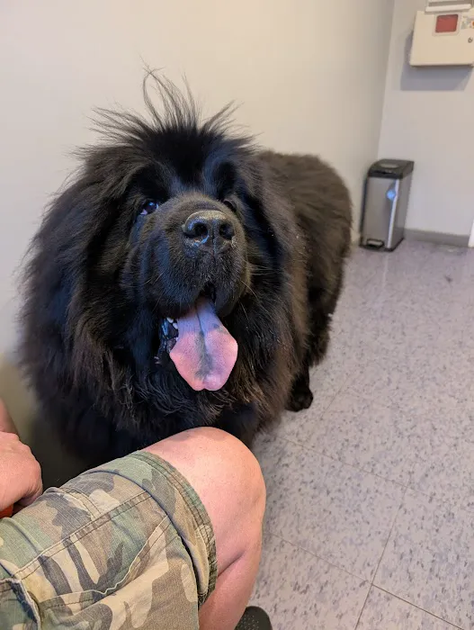 West Newton Animal Clinic Picture 3