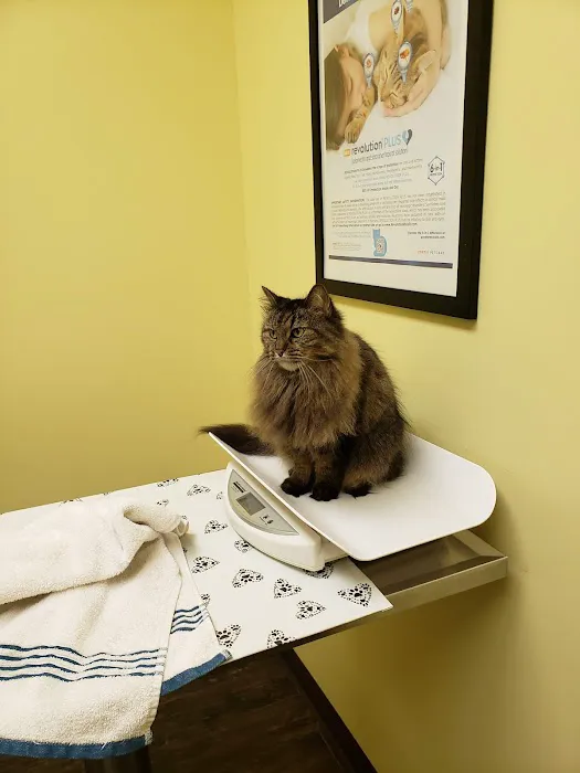 Sarver Animal Hospital Picture 1
