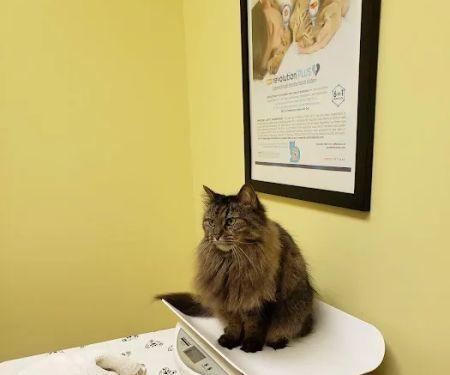 Sarver Animal Hospital