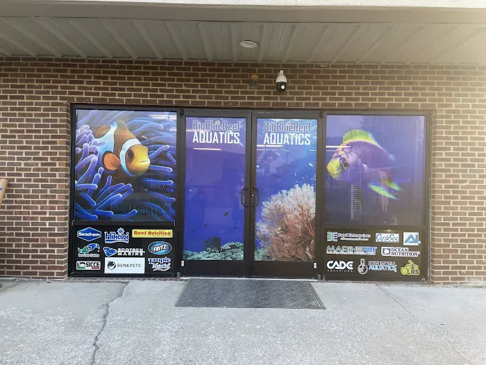 Big Blue Reef Aquatics Picture 2