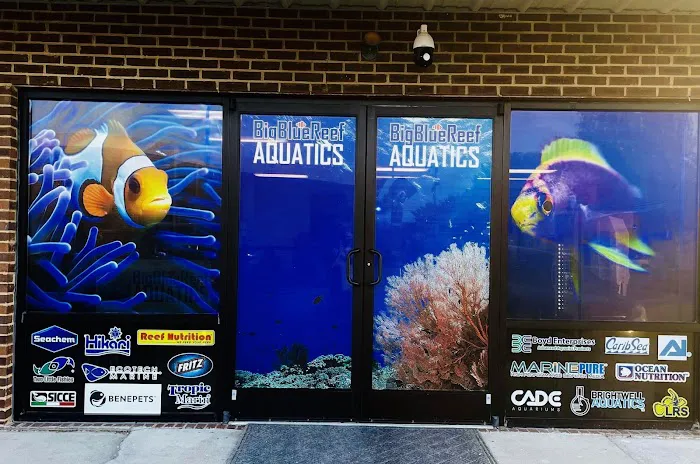 Big Blue Reef Aquatics Picture 10
