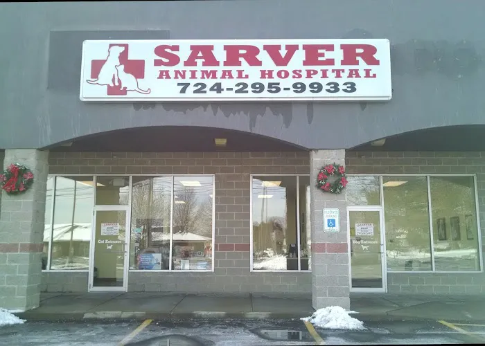 Sarver Animal Hospital: Nicole Milligan DVM Picture 1