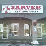 Sarver Animal Hospital: Nicole Milligan DVM