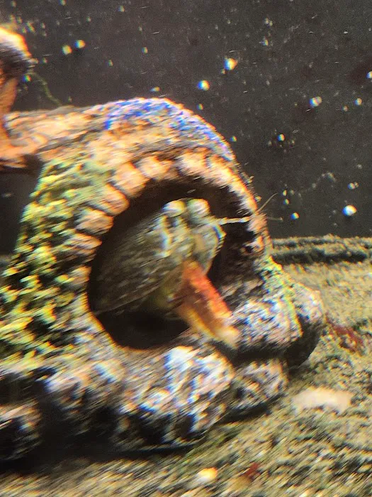 Aquatic Gallery Picture 10