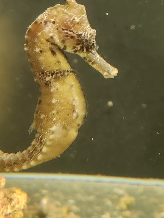 Aquatic Gallery Picture 4