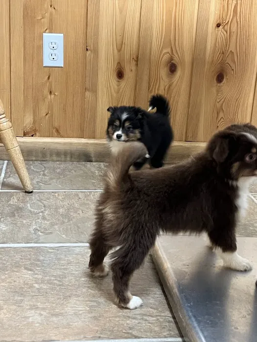 Drummond Animal Hospital Picture 10