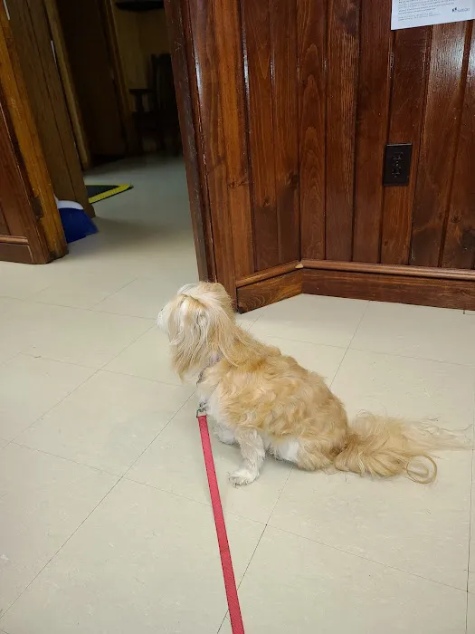 Drummond Animal Hospital Picture 9