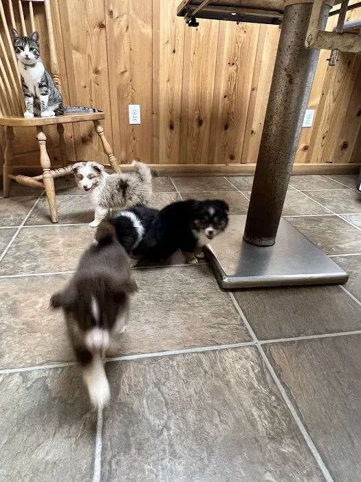 Drummond Animal Hospital Picture 7